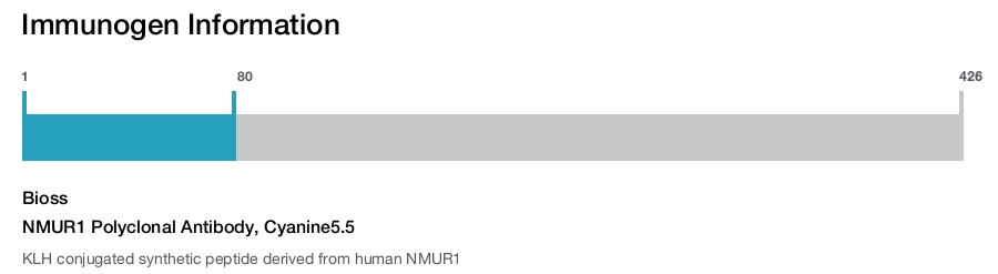 NMUR1 Polyclonal Antibody, Cyanine5.5