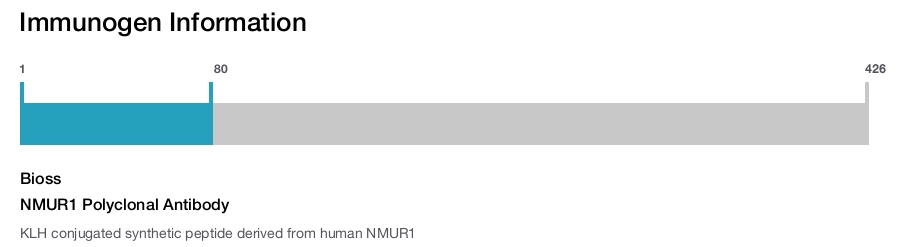 NMUR1 Polyclonal Antibody