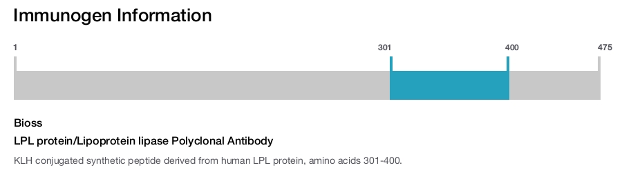 LPL protein/Lipoprotein lipase Polyclonal Antibody