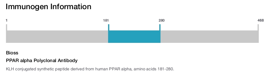 PPAR alpha Polyclonal Antibody