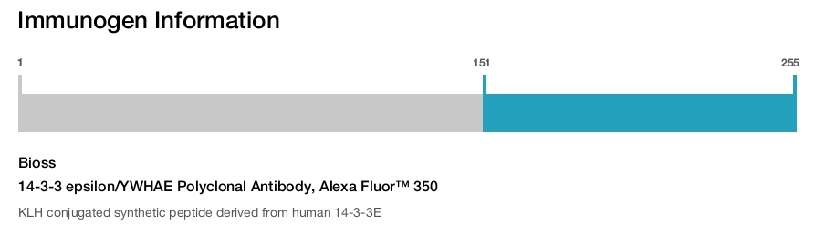 14-3-3 epsilon/YWHAE Polyclonal Antibody, Alexa Fluor&trade; 350