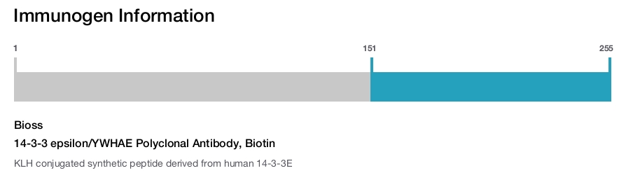14-3-3 epsilon/YWHAE Polyclonal Antibody, Biotin