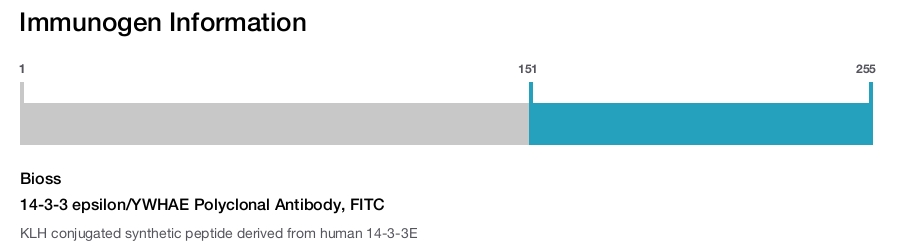 14-3-3 epsilon/YWHAE Polyclonal Antibody, FITC