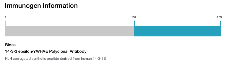 14-3-3 epsilon/YWHAE Polyclonal Antibody