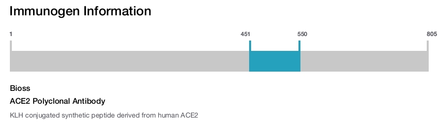 ACE2 Polyclonal Antibody