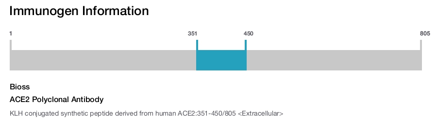 ACE2 Polyclonal Antibody