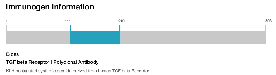 TGF beta Receptor I Polyclonal Antibody