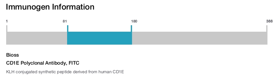 CD1E Polyclonal Antibody, FITC