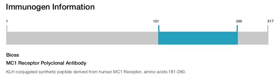 MC1 Receptor Polyclonal Antibody