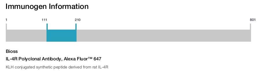 IL-4R Polyclonal Antibody, Alexa Fluor&trade; 647