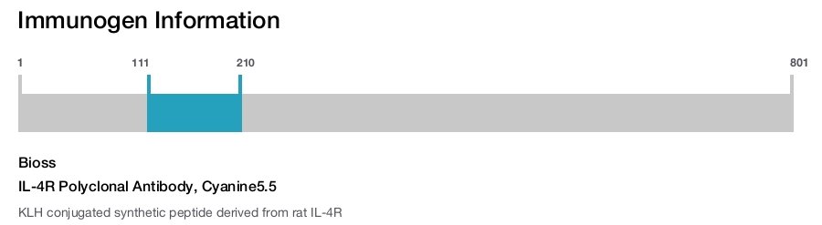 IL-4R Polyclonal Antibody, Cyanine5.5