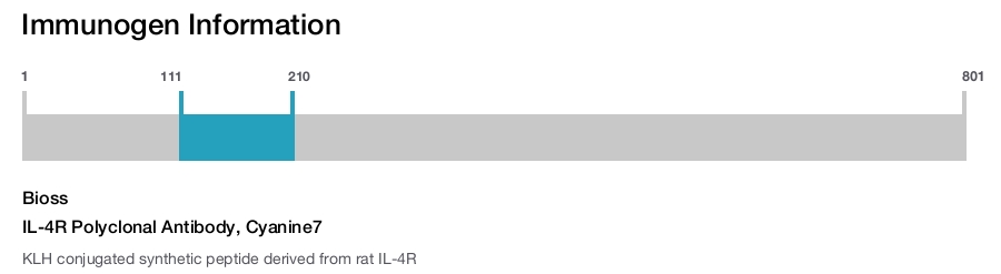 IL-4R Polyclonal Antibody, Cyanine7