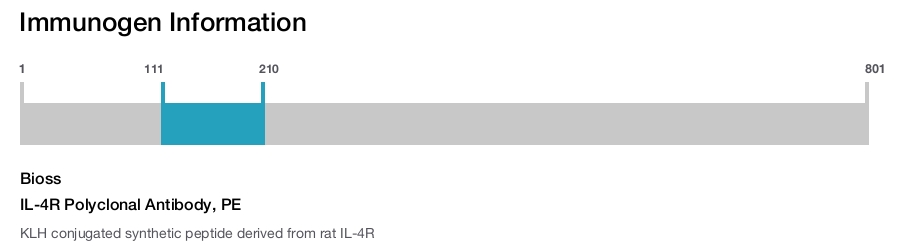 IL-4R Polyclonal Antibody, PE