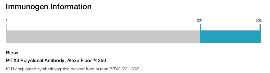 PITX3 Polyclonal Antibody, Alexa Fluor&trade; 350