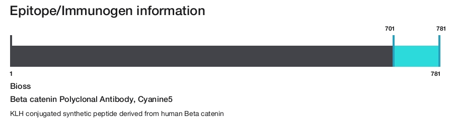 Beta catenin Polyclonal Antibody, Cyanine5