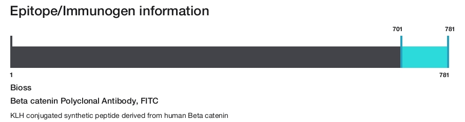 Beta catenin Polyclonal Antibody, FITC