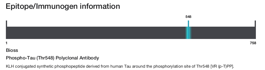 Phospho-Tau (Thr548) Polyclonal Antibody
