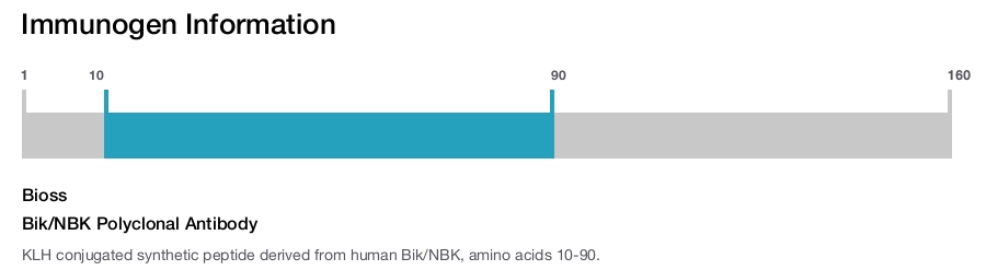 Bik/NBK Polyclonal Antibody