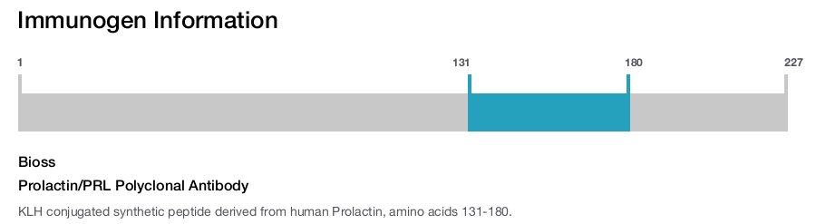 Prolactin/PRL Polyclonal Antibody