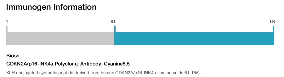 CDKN2A/p16-INK4a Polyclonal Antibody, Cyanine5.5