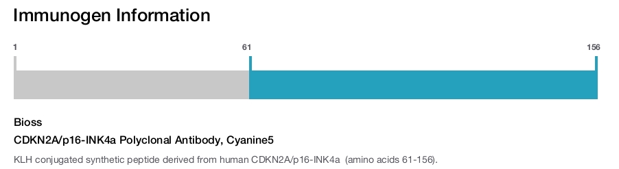 CDKN2A/p16-INK4a Polyclonal Antibody, Cyanine5