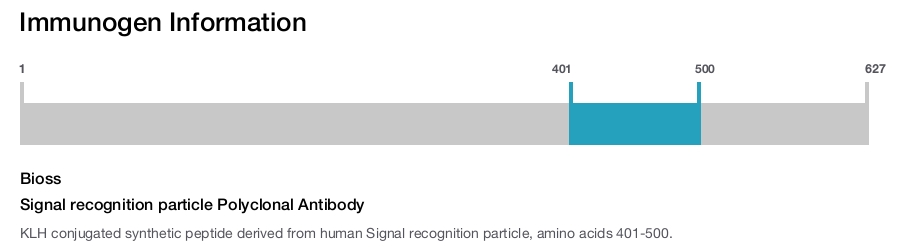 Signal recognition particle Polyclonal Antibody
