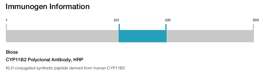 CYP11B2 Polyclonal Antibody, HRP