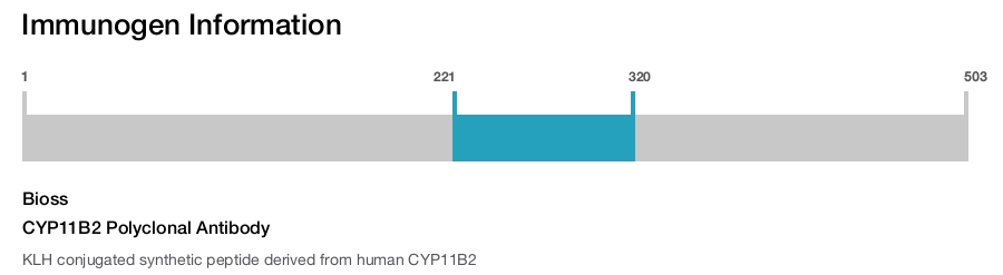 CYP11B2 Polyclonal Antibody