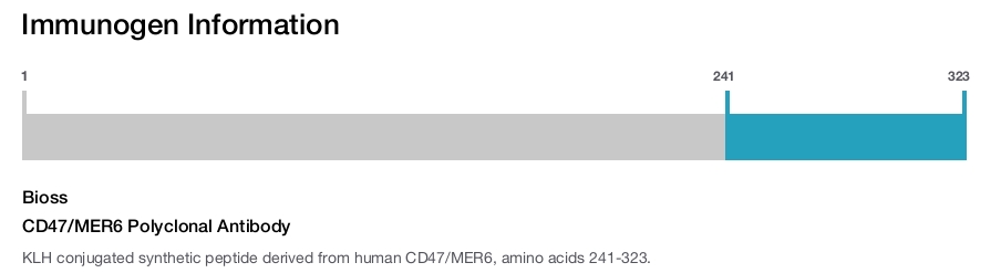CD47/MER6 Polyclonal Antibody
