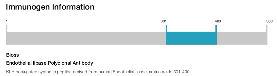 Endothelial lipase Polyclonal Antibody