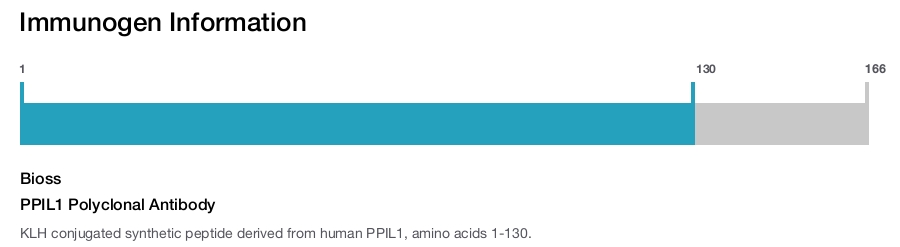 PPIL1 Polyclonal Antibody