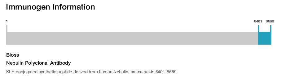 Nebulin Polyclonal Antibody