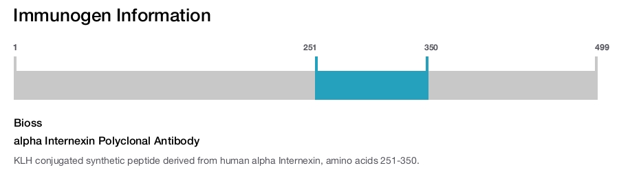 alpha Internexin Polyclonal Antibody
