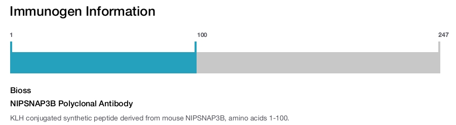 NIPSNAP3B Polyclonal Antibody