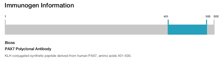 PAX7 Polyclonal Antibody