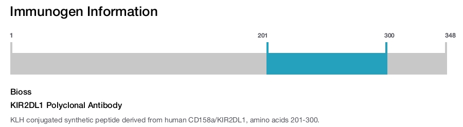 KIR2DL1 Polyclonal Antibody