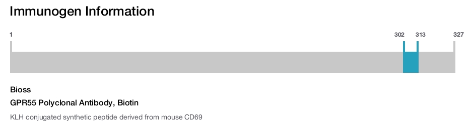 GPR55 Polyclonal Antibody, Biotin
