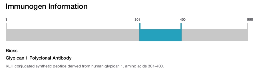 Glypican 1 Polyclonal Antibody