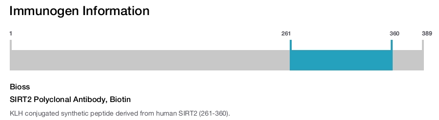 SIRT2 Polyclonal Antibody, Biotin