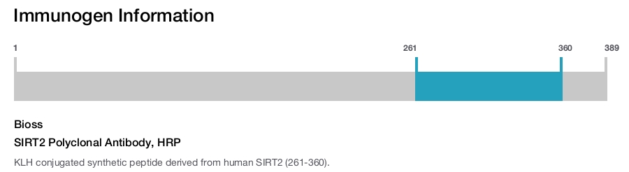 SIRT2 Polyclonal Antibody, HRP