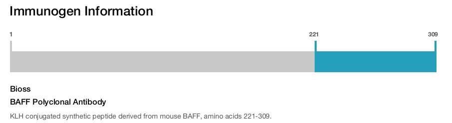 BAFF Polyclonal Antibody