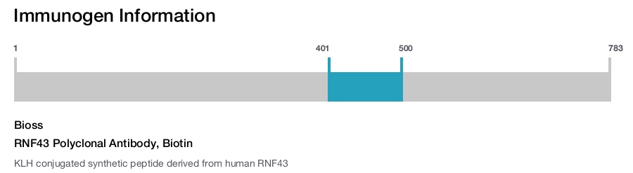 RNF43 Polyclonal Antibody, Biotin