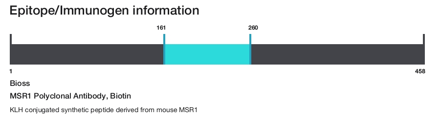 MSR1 Polyclonal Antibody, Biotin