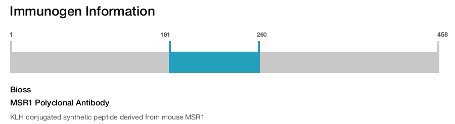 MSR1 Polyclonal Antibody