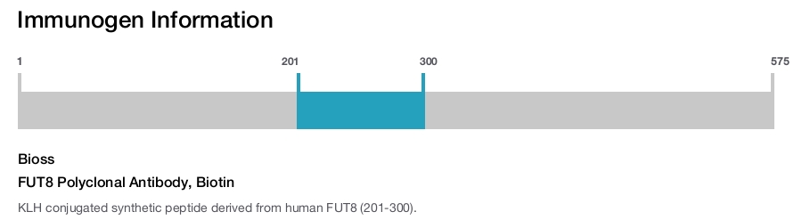 FUT8 Polyclonal Antibody, Biotin