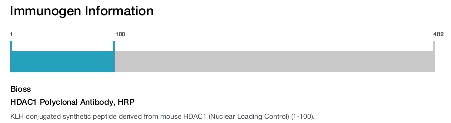 HDAC1 Polyclonal Antibody, HRP