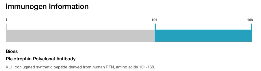 Pleiotrophin Polyclonal Antibody