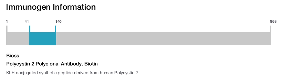 Polycystin 2 Polyclonal Antibody, Biotin