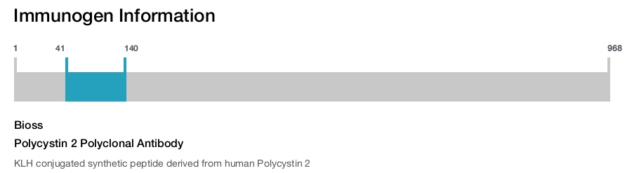 Polycystin 2 Polyclonal Antibody