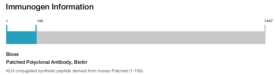 Patched Polyclonal Antibody, Biotin